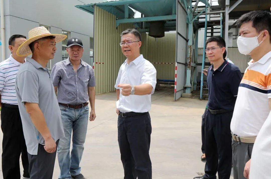 綠潤(rùn)新聞 | 金灣區(qū)委書(shū)記帶隊(duì)考察，三灶項(xiàng)目再獲認(rèn)可